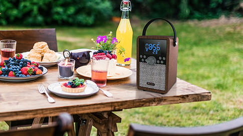 Portable Audio